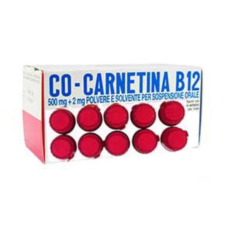 Cocarnetina B12 500 mg + 2 mg Polvere e Solvente per Sospensione Orale 10 Flaconcini 10 ml