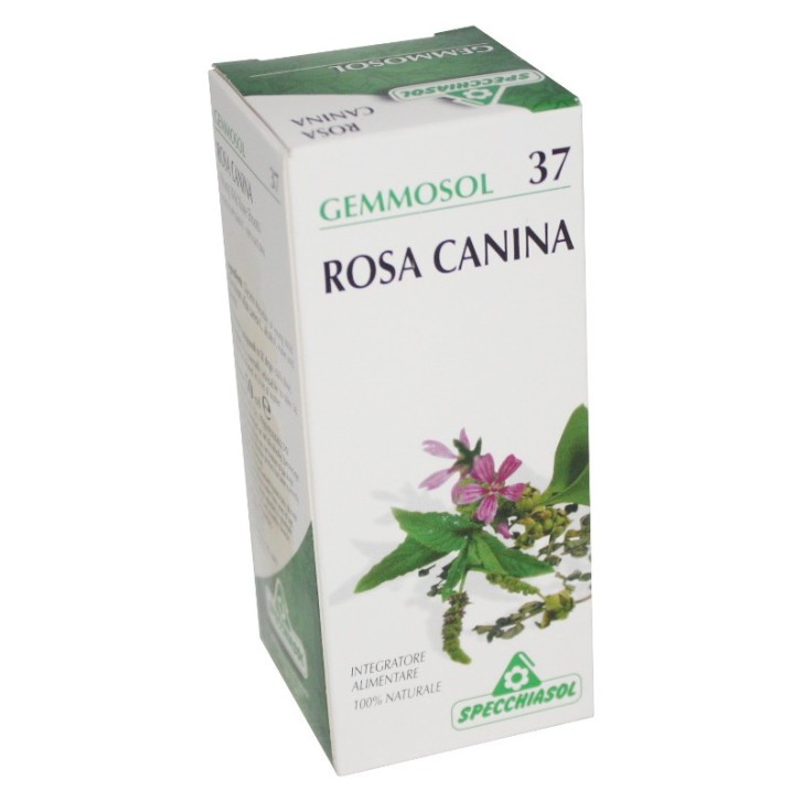 Specchiasol Gemmosol 37 Rosa Canina 50 ml