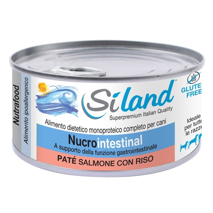 Siland Nucrointestinal Cane Patè Salmerino Islandese e Riso 155 grammi