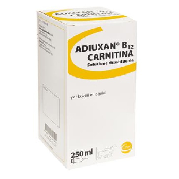 Adiuxan B12 Carnitina Flacone 250 ml - Soluzione Ricostituente per Bovini ed Equini