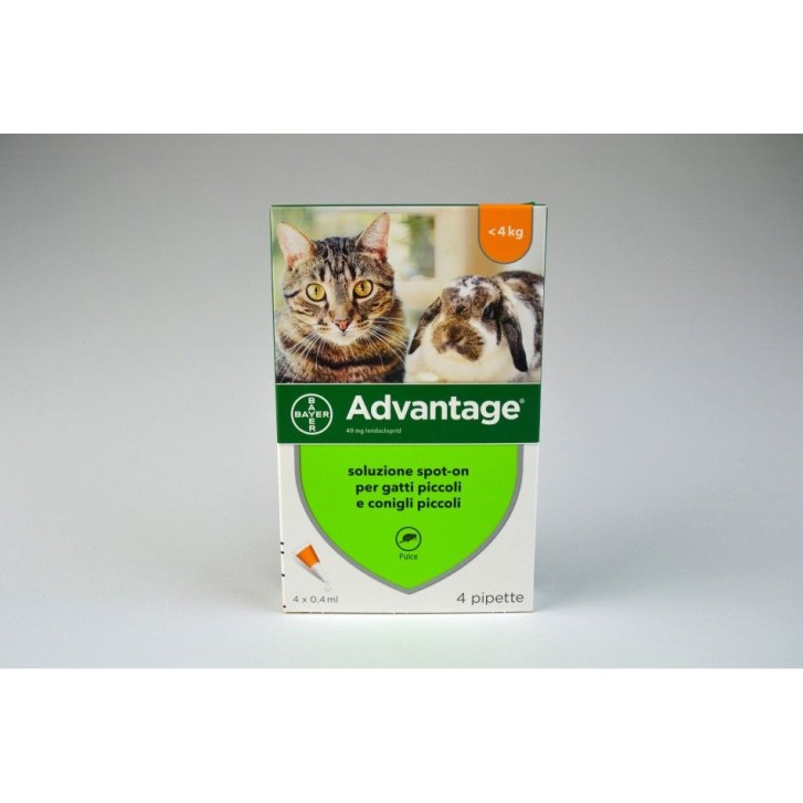 Advantage 40 mg Soluzione Antiparassitaria Spot-On Gatti e Conigli 4 Pipette