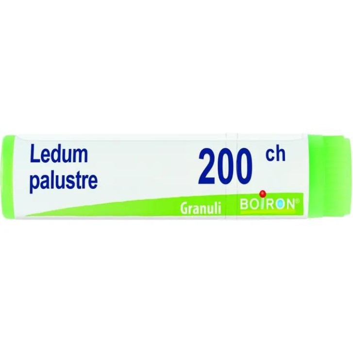 Boiron Ledum Palustre 200 Ch Granuli - Rimedio Omeopatico
