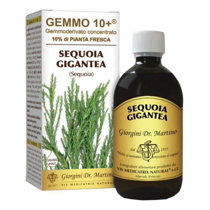 Sequoia Analcolico Gemmoderivato 10+ Dr. Giorgini 500 ml