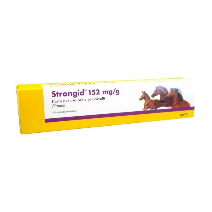 Strongid 152 mg Pasta x Cavalli - Siringa da 26 grammi