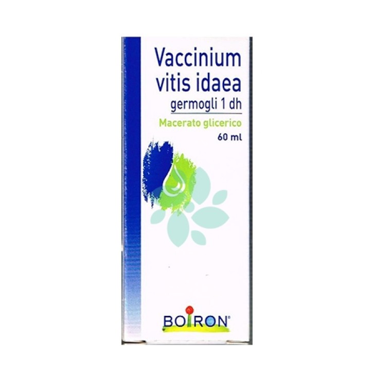 Boiron Vaccinium Vitis Idaea Macerato Glicerico 60 ml - Medicinale Omeopatico