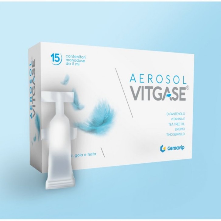 Vitgase Aerosol 15 flaconcini da 2 ml