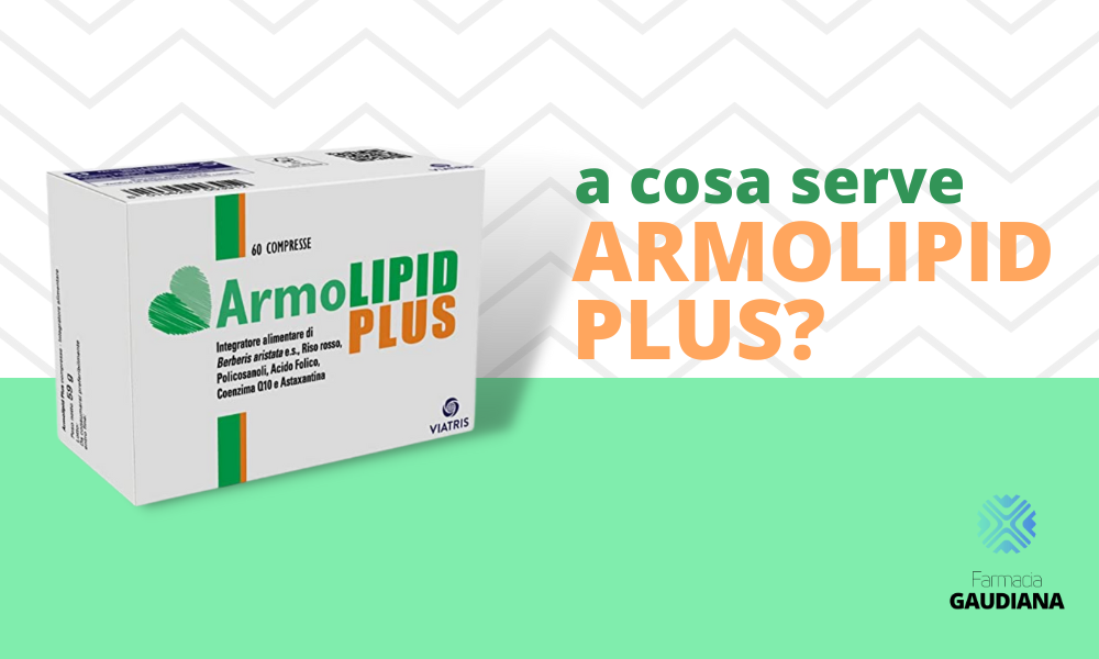 Armolipid Plus a cosa serve?