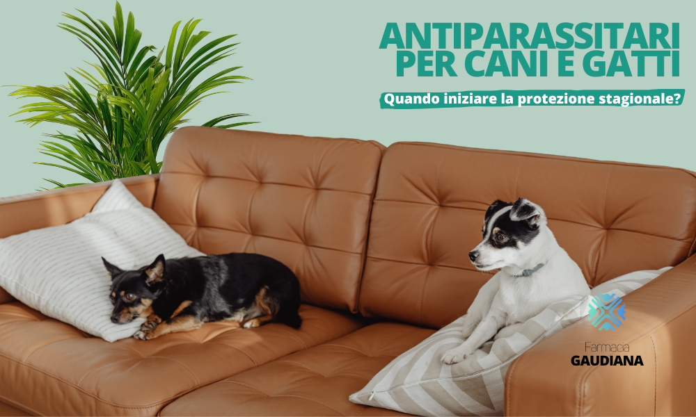 Quando mettere l’antiparassitario a cani e gatti | Farmacia Gaudiana