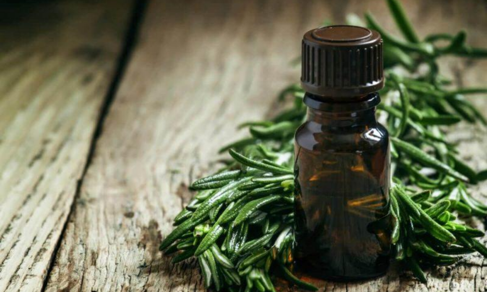 Tea Tree Oil: a cosa serve e quando utilizzarlo
