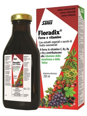 Floradix 250 ml - Integratore Ferro