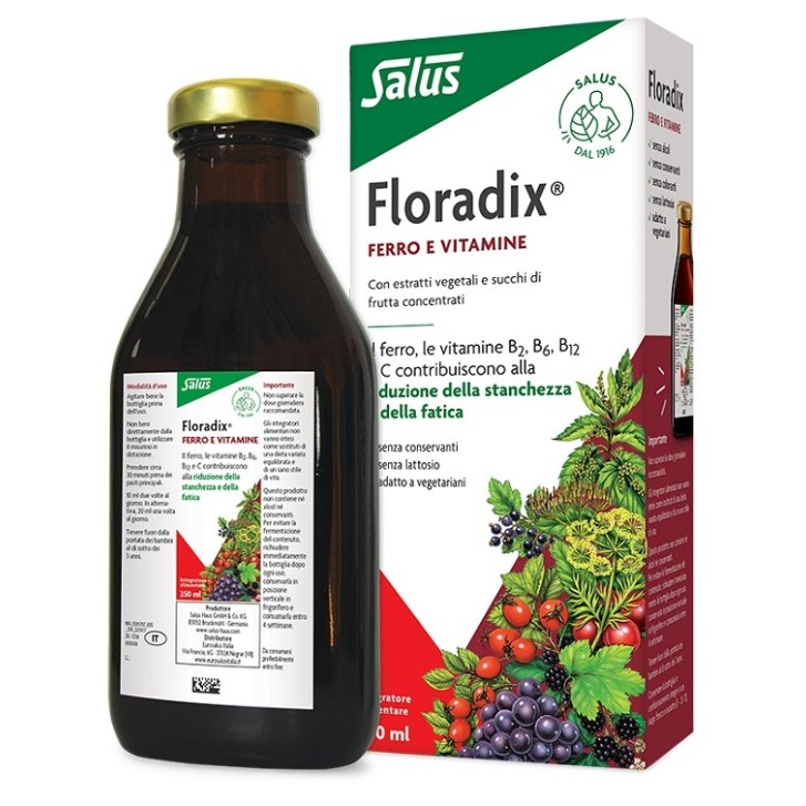Floradix 250 ml - Integratore Ferro
