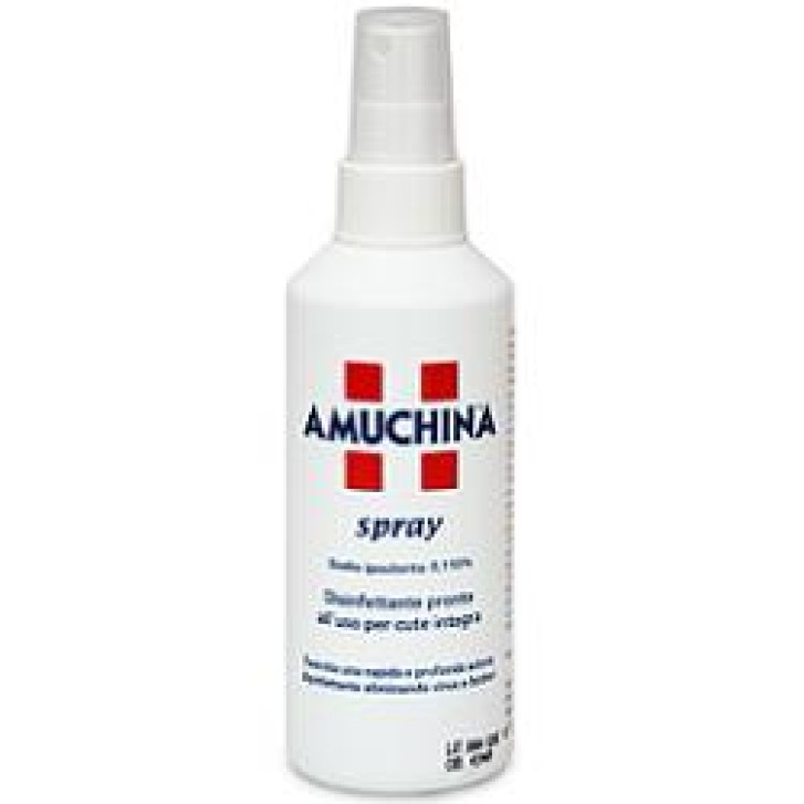 Amuchina 10 % Spray 200 ml