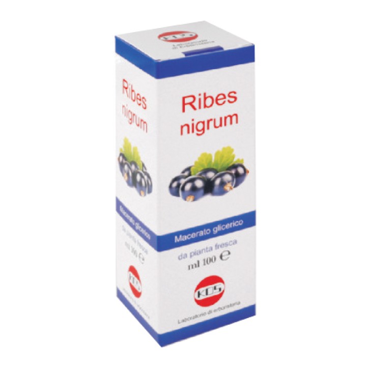Kos Ribes Nigrum Macerato Glicerinato Gocce 100 ml - Integratore Alimentare