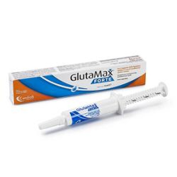 Glutamax Forte Pasta Siringa 15 ml - Integratore Funzionalita' Epatica Gatti