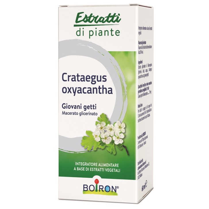 Boiron Crataegus Oxyacanthia 1DH Macerato Glicerinato 60 ml - Medicinale Omeopatico