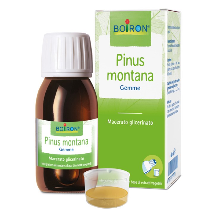 Boiron Pinus Montana 1DH Macerato Glicerinato 60 ml - Medicinale Omeopatico