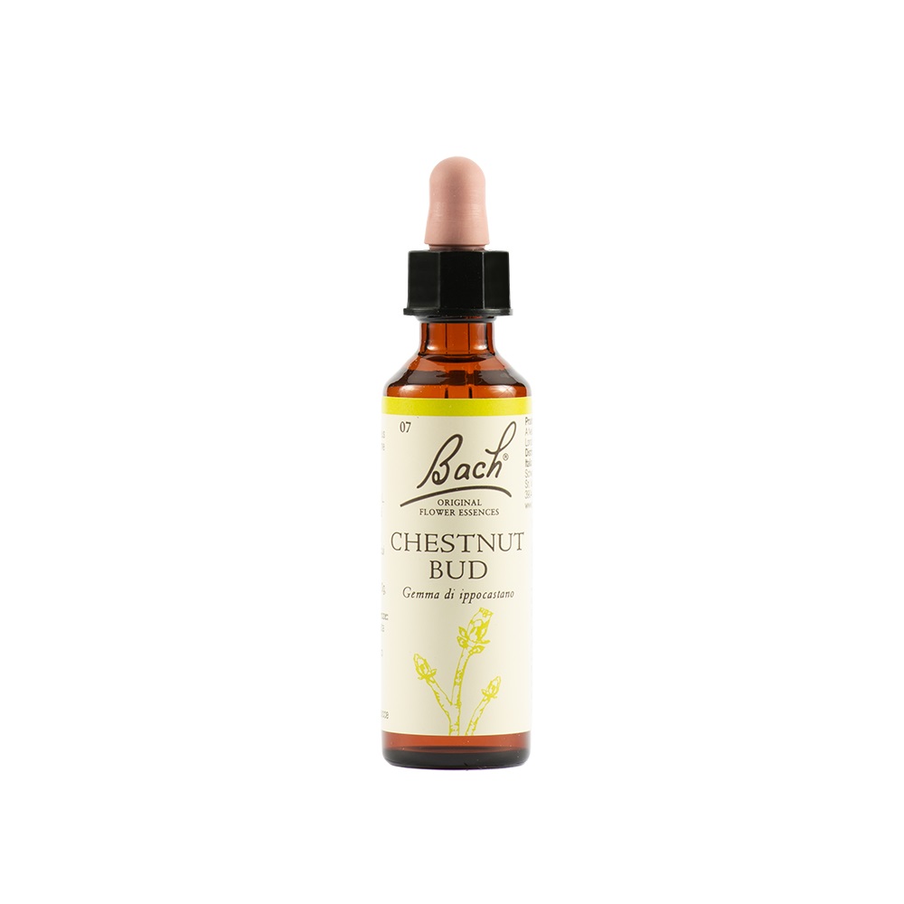 Schwabe Fiori di Bach 07 Chestnut Bud Gocce 20ml
