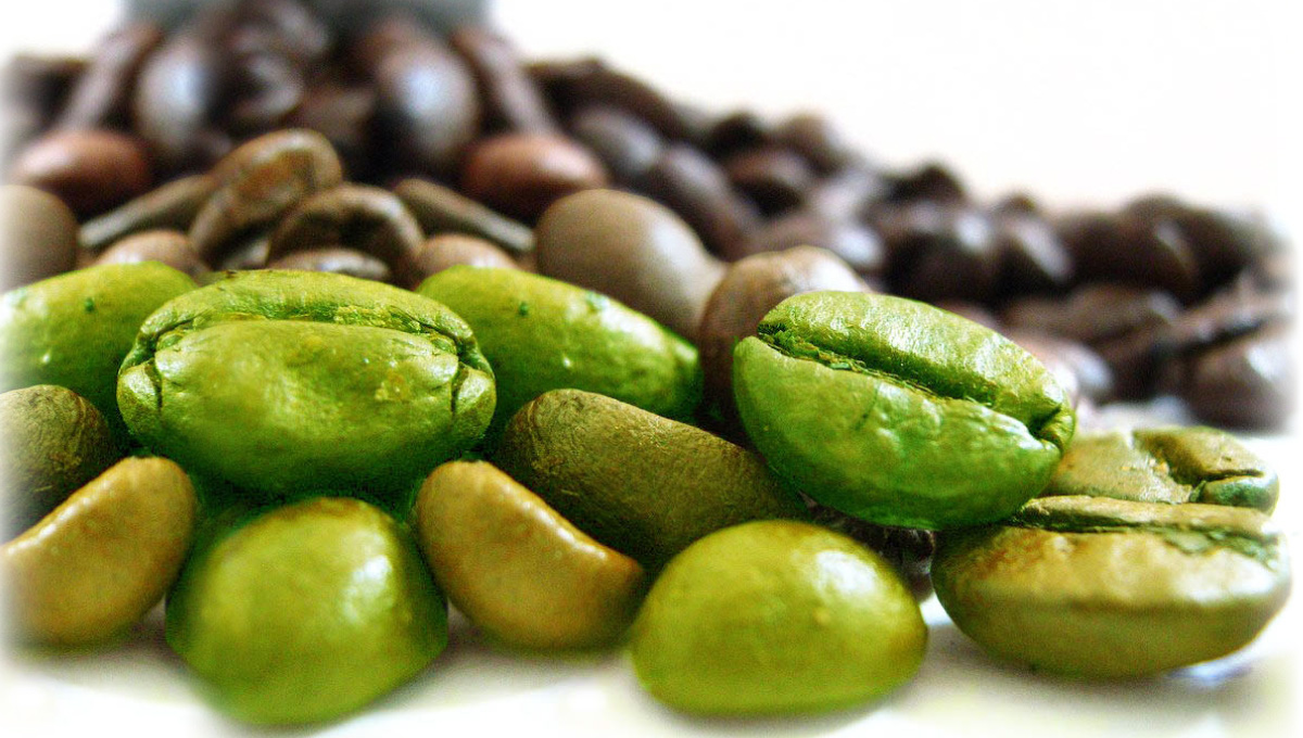il caffè verde è utile a mantenere la linea ed è un potente antiossidante