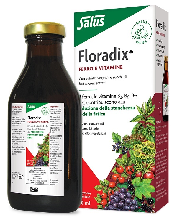 Floradix 250 ml - Integratore Ferro