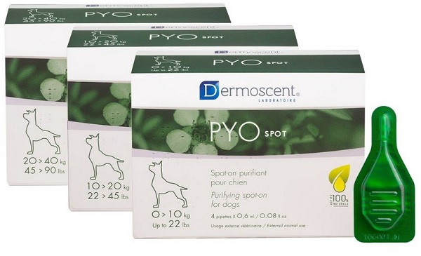 PYO Spot Cane 20-40Kg