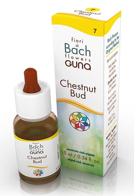 Guna Fiori di Bach Chestnut Bud Apprendimento Gocce 10 ml