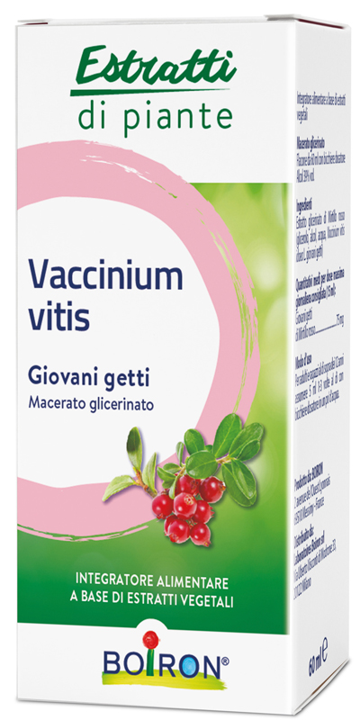 Boiron Vaccinium Vitis Macerato Glicerinato 60 ml - Medicinale Omeopatico
